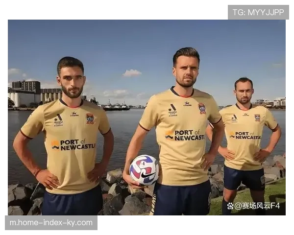 纽卡斯尔主场进球26粒攻击尚可 但失球23球防守待改善